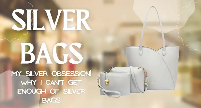Why I Can't Get Enough of Silver Bags