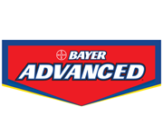 Bayer Advanced coupons