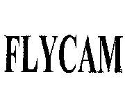 Flycam coupons