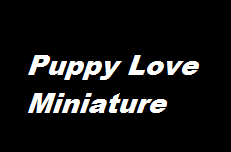 Puppy Love Miniature coupons