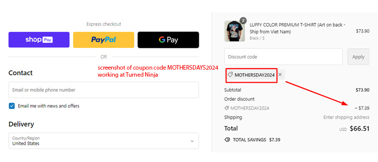 A screenshot of Turned Ninja checkout page showing a working coupon code