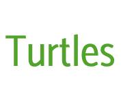 Turtles coupons