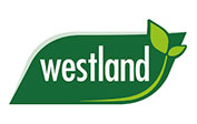 Westland Uk coupons