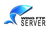 Wing Ftp Software coupons