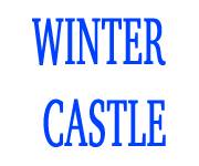 Winter Castle coupons