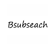 Bsubseach coupons