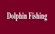 Dolphin Fishing coupons