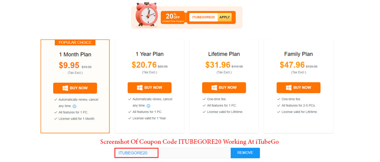 A screenshot of Itubego checkout page showing a working coupon code