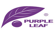 Purple Leaf coupons