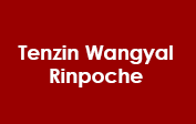 Tenzin Wangyal Rinpoche Coupon