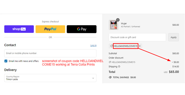 A screenshot of Terra Cotta Prints checkout page with a working coupon code
