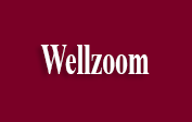 Wellzoom coupons