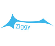 Ziggyshade coupons